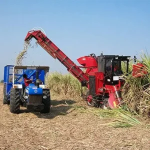 Sugarcane Agriculture
