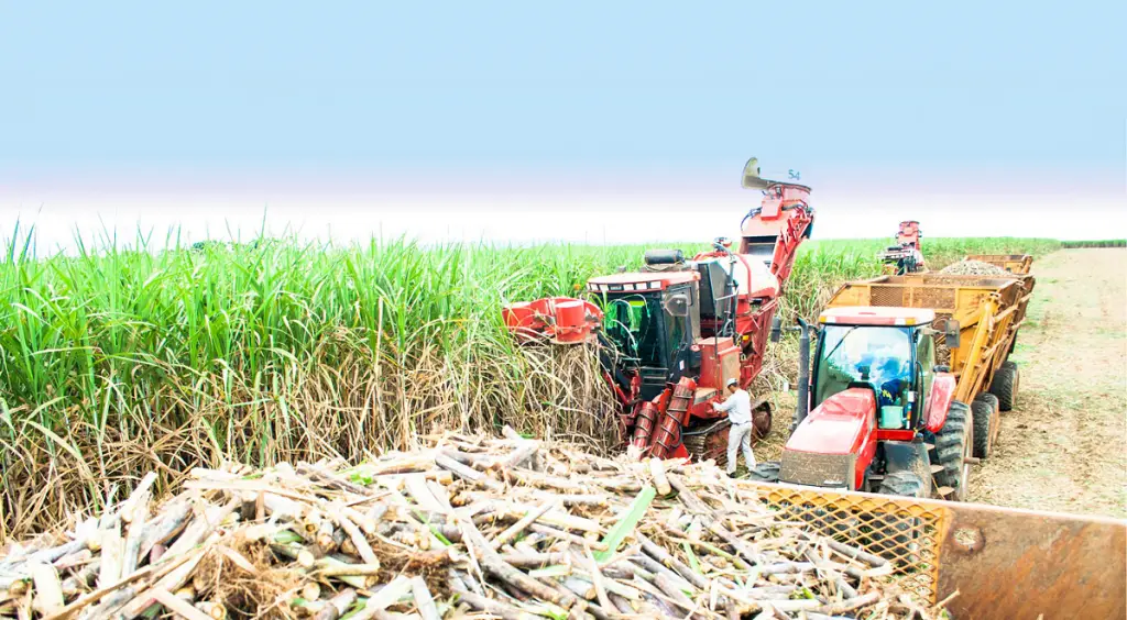 Harvesting
