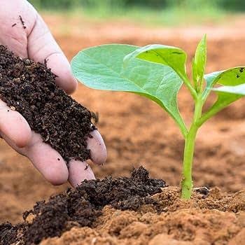 Bio Compost